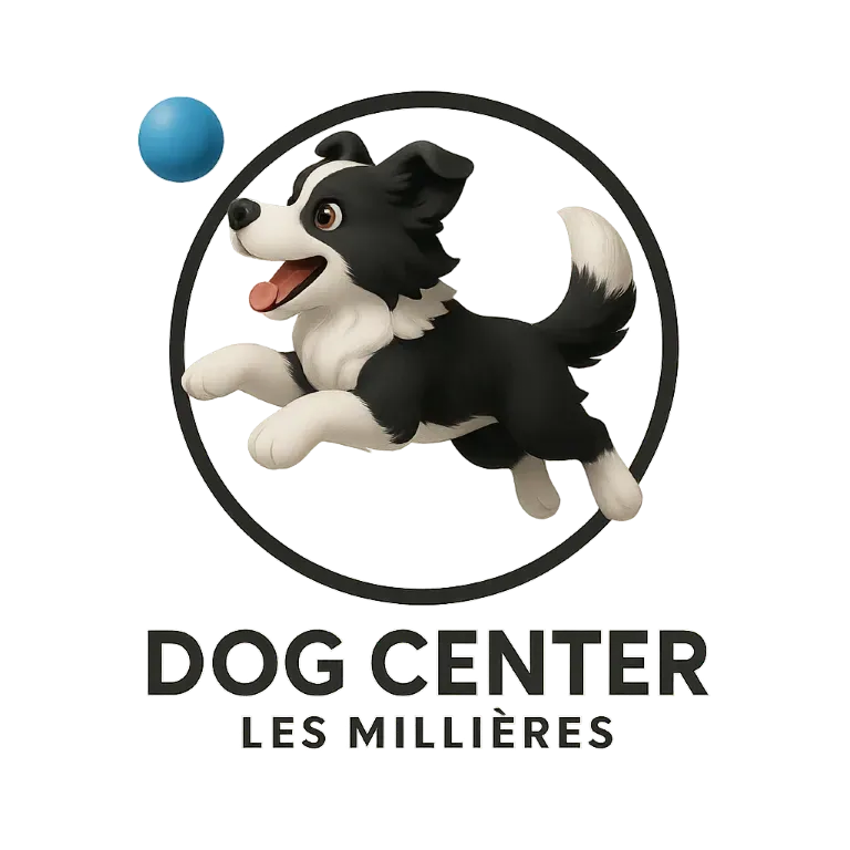 logo-dog-balle